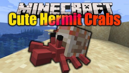  Cute Hermit Crabs  Minecraft 1.16