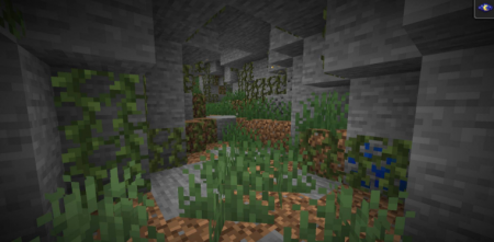  Cave Biomes  Minecraft 1.16.1