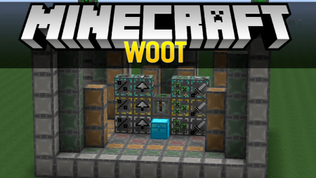  Woot  Minecraft 1.16.3