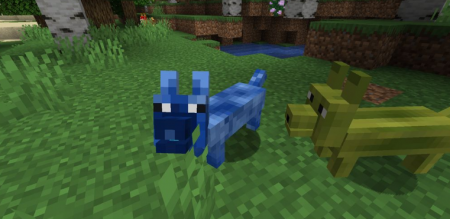  The Corgis  Minecraft 1.16.2