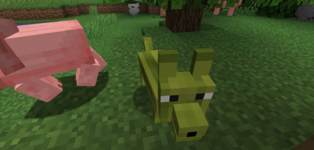  The Corgis  Minecraft 1.16.2