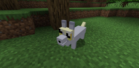  The Corgis  Minecraft 1.16.2