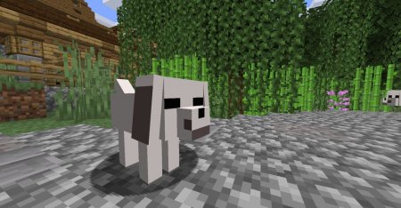  Anime Pets  Minecraft 1.15