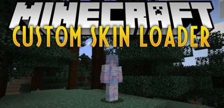  Custom Skin Loader  Minecraft 1.16.2