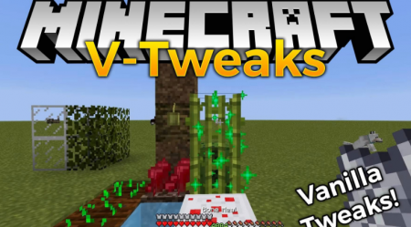  V-Tweaks  Minecraft 1.16.2