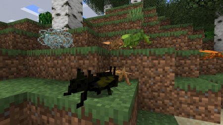  MexiCraft  Minecraft 1.15.2