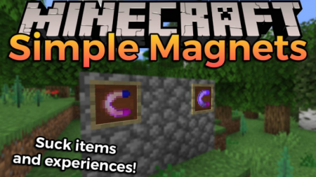  Simple Magnets  Minecraft 1.16