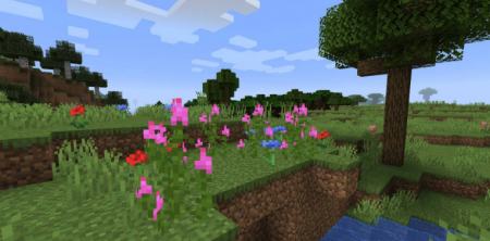  Woods and Mires  Minecraft 1.16.3