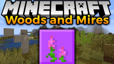  Woods and Mires  Minecraft 1.16.4