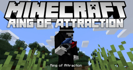  Ring of Attraction  Minecraft 1.16.4