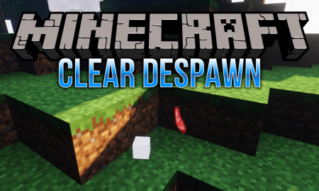  Clear Despawn  Minecraft 1.16.2