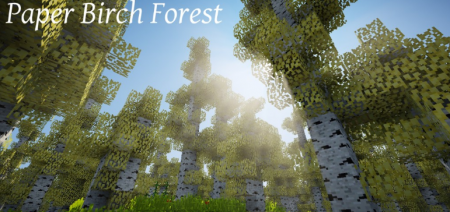  Oh The Biomes Youll Go  Minecraft 1.16