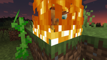  Wildfires  Minecraft 1.16.4