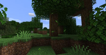  Falling Leaves  Minecraft 1.16.3