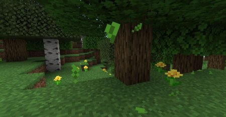  Falling Leaves  Minecraft 1.16.3