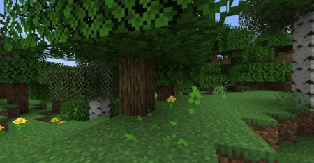  Falling Leaves  Minecraft 1.16.3