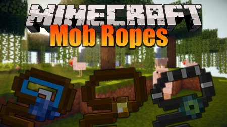  Mob Ropes  Minecraft 1.16.3