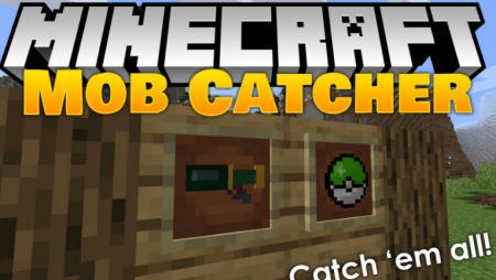  Mob Catcher  Minecraft 1.16.4