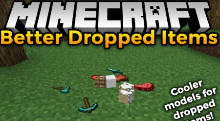  Better Dropped Items  Minecraft 1.16.2