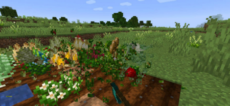  Pams HarvestCraft 2  Crops  Minecraft 1.16.3