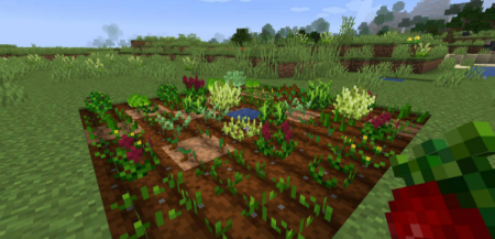  Pams HarvestCraft 2  Crops  Minecraft 1.16.3