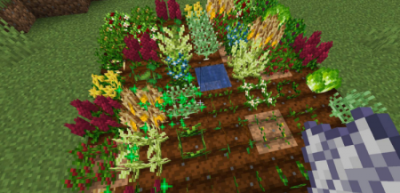  Pams HarvestCraft 2  Crops  Minecraft 1.16.4
