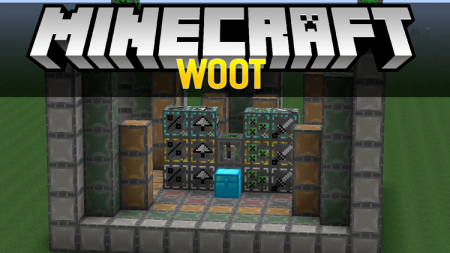  Woot  Minecraft 1.16
