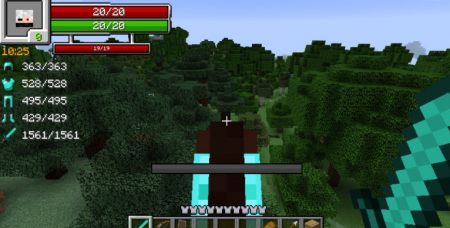  RPG-Hud  Minecraft 1.16.3