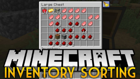  Inventory Sorting  Minecraft 1.16.3