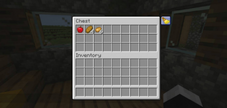  Inventory Sorting  Minecraft 1.16.3