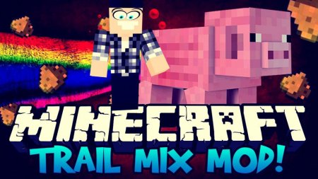  Trail Mix  Minecraft 1.16.3