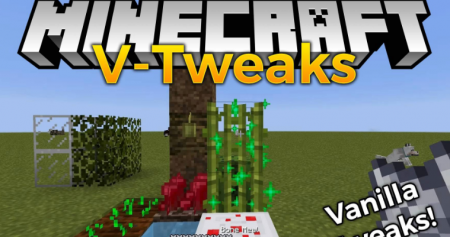  V-Tweaks  Minecraft 1.16.4