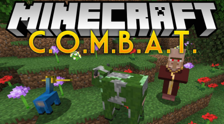  COMBAT  Minecraft 1.15.2