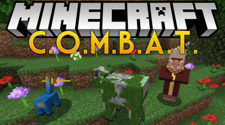  COMBAT  Minecraft 1.16.4