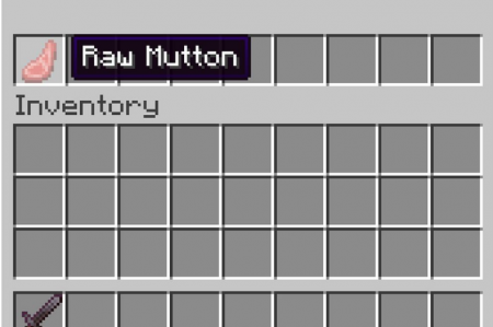 Скачать RpgZ для Minecraft 1.16.3