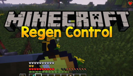  Regen Control  Minecraft 1.16.1