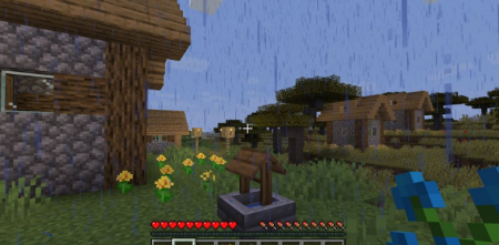  Wishing for Sunshine  Minecraft 1.16.3