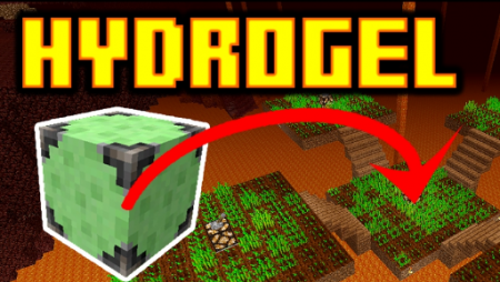  HydroGel  Minecraft 1.16.3