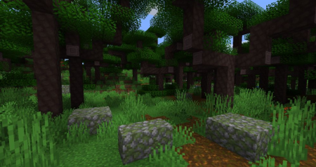  Atmospheric  Minecraft 1.16.3