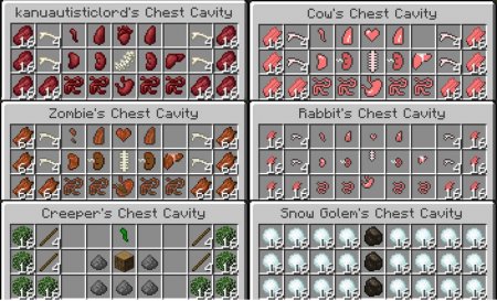  Chest Cavity  Minecraft 1.16.3