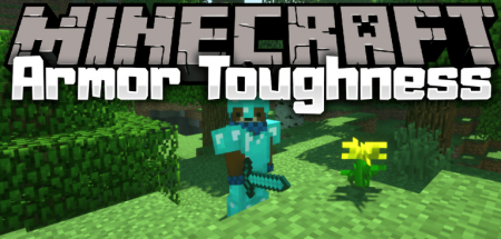  Armor Toughness Bar  Minecraft 1.16.4