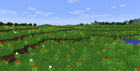 Скачать Biomes O’ Plenty для Minecraft 1.16.4