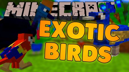 Скачать Exotic Birds для Minecraft 1.16.4