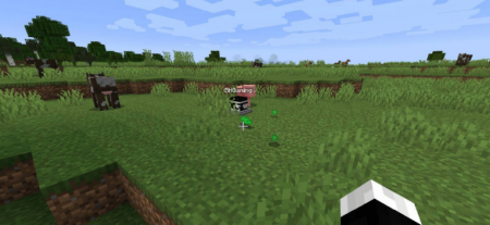  Better Graves  Minecraft 1.16.3