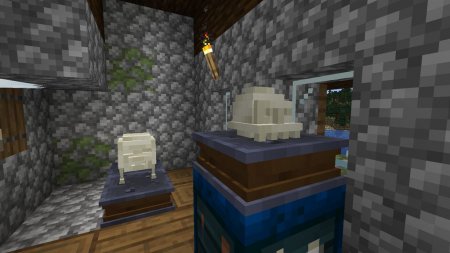  Fossil  Minecraft 1.16.4