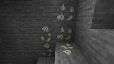  Fossil  Minecraft 1.16.4