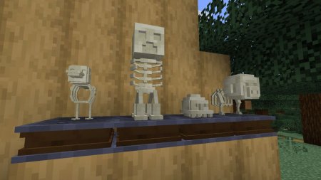  Fossil  Minecraft 1.16.4