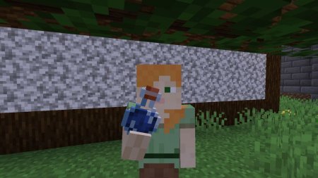  Not Enough Animations  Minecraft 1.16.3