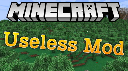  Useless  Minecraft 1.16.3