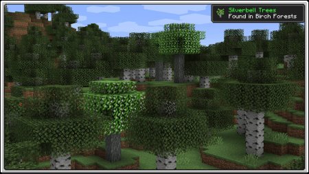  Premium Wood  Minecraft 1.15.2